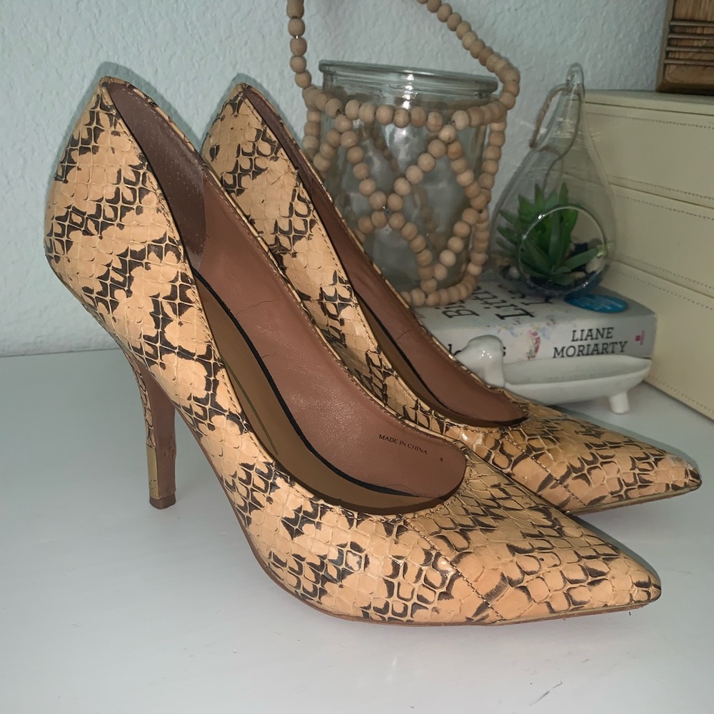 Dolce Vita Snakeskin Pumps